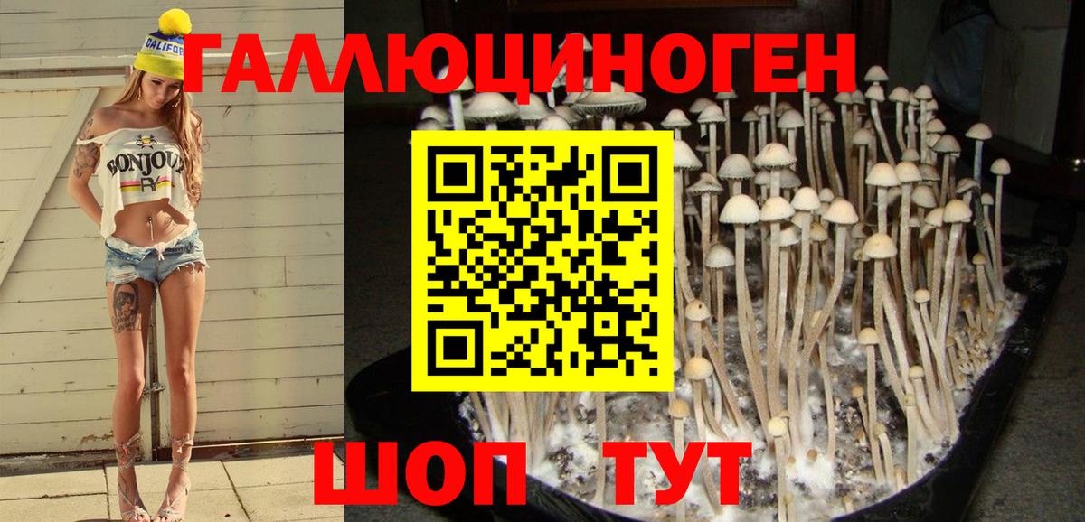 Псилоцибиновые грибы Psilocybe Павловский Посад