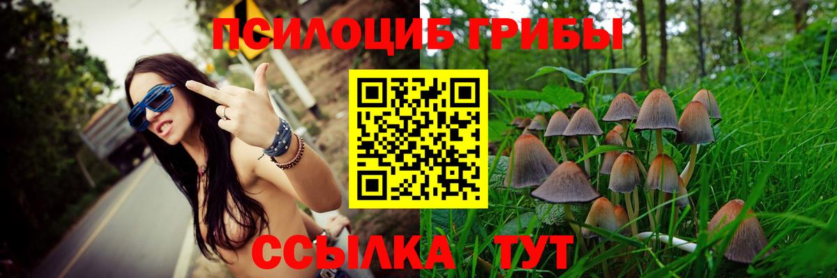 Галлюциногенные грибы Magic Shrooms  Вход с VPN  Павловский Посад  Псилоцибиновые грибы мицелий 